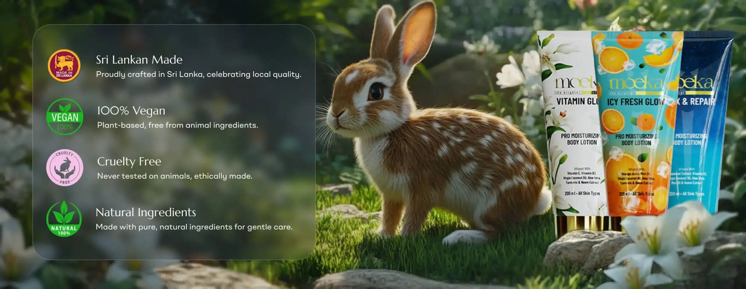 moeka special 1 scaled